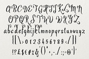 Ofaly, a Script Font by Digital Typeface Studio (Thumbnail 2 of 4)
