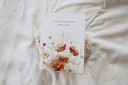NEW! Late Summer Bundle, an Illustration by Isabelle Salem (Thumbnail 154 of 216)
