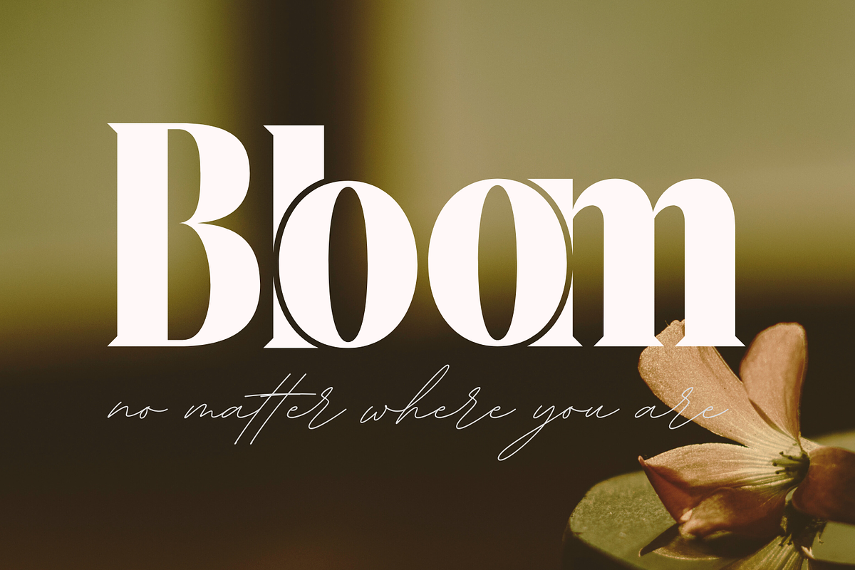 Materials Depicting Font, a Serif Font by 177Studio (Photo 3 of 8)
