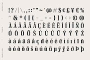 Venturico - Variable Font, a Serif Font by Typeskets (Thumbnail 9 of 11)