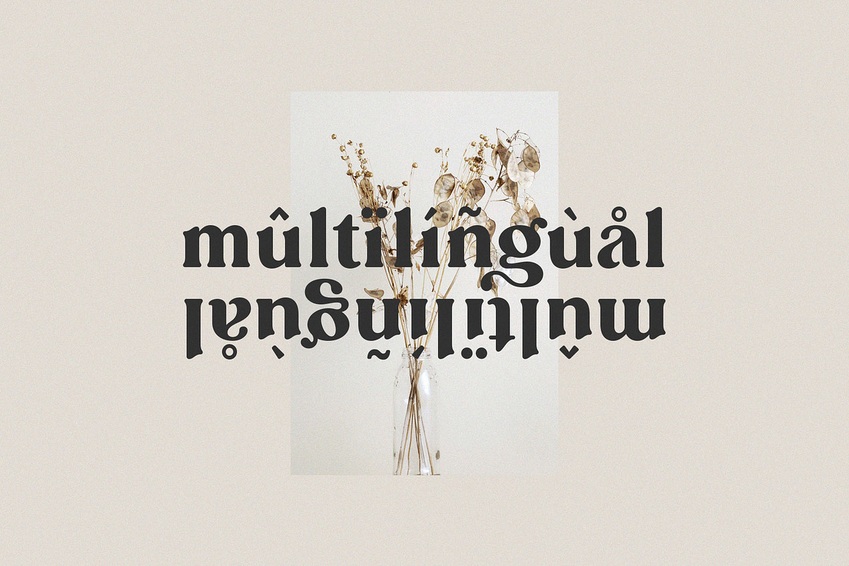Ligature Font BUNDLE, a Serif Font by BrandSemut (Photo 9 of 70)