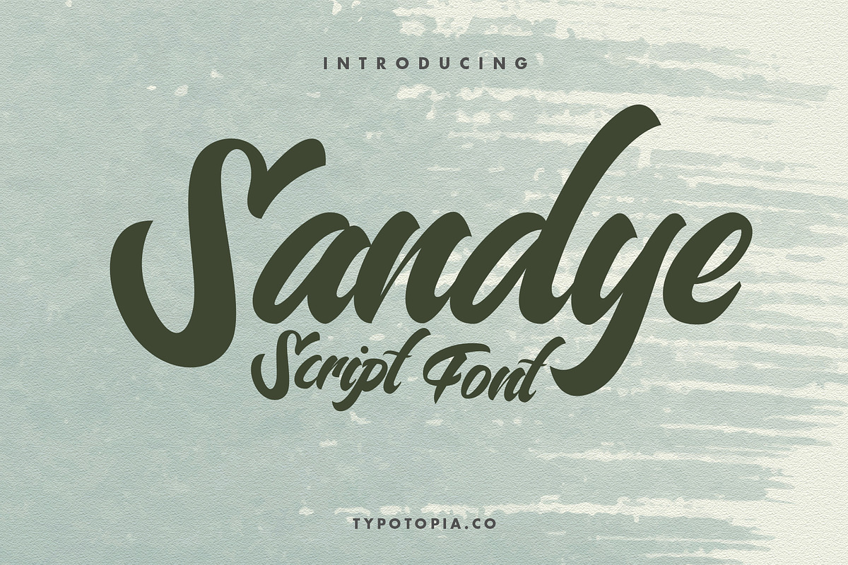 Sandye Script Font, a Script Font by edukka (Photo 1 of 7)