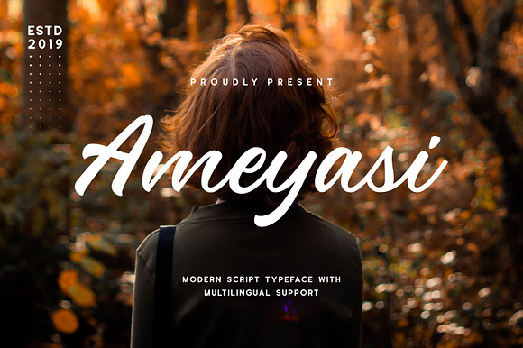 Ameyasi - Modern Script Typeface preview 8