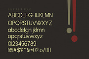 Houston, a Serif Font by Gatype (Thumbnail 9 of 10)