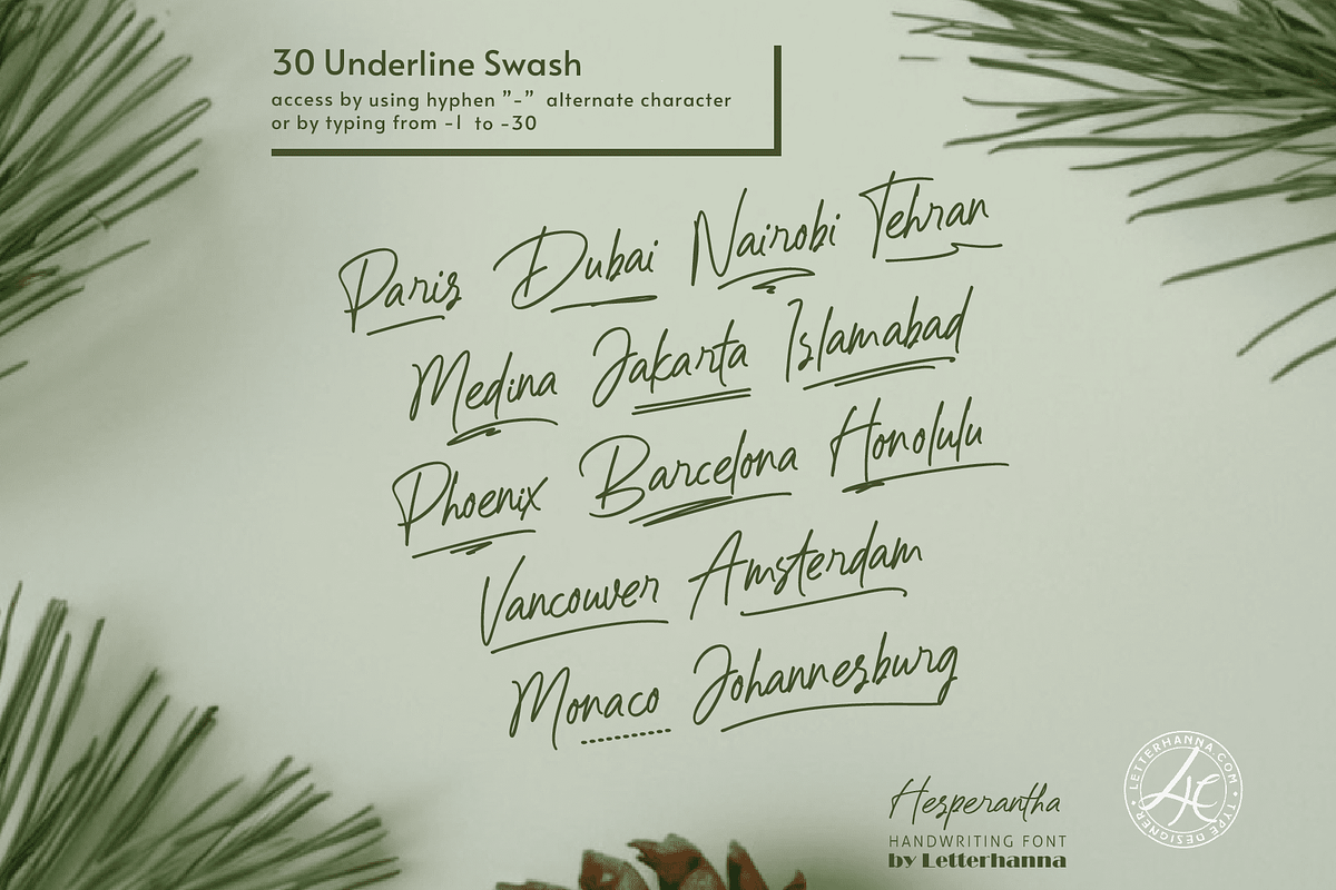 Hesperantha Font, a Handwritten Font by Letterhanna Studio (Photo 5 of 9)