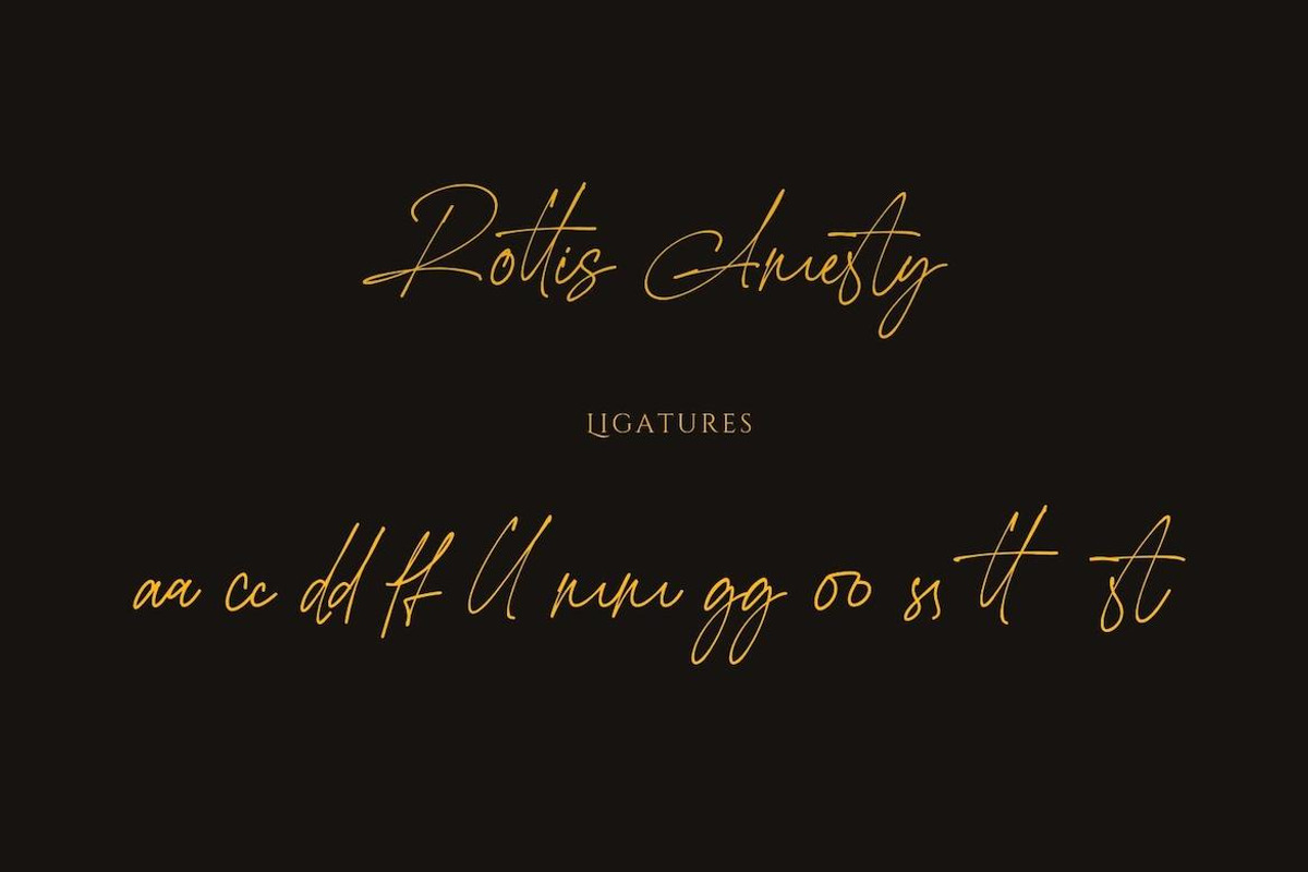 Rottis Amesty Signature Handwriting, a Handwritten Font by CreateBigSupply (Photo 9 of 9)