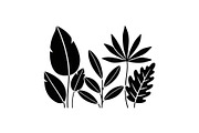 Minimal Botanical Leaf Silhouette Bu, an Illustration by Creativeshirt (Thumbnail 11 of 51)