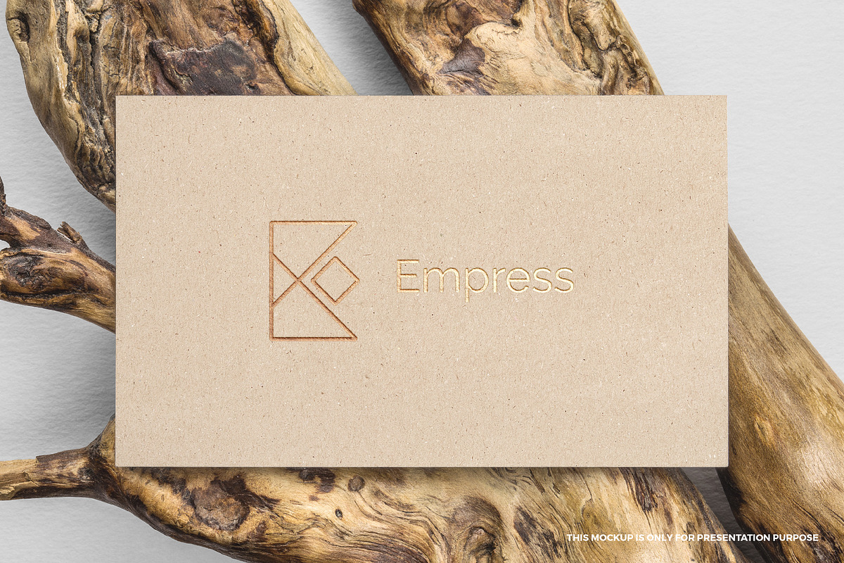 Empress logo, a Branding & Logo Template by MuzaInspires (Photo 3 of 5)