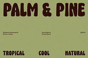Groovy Campy - Bold Retro Fonts, a Font by Studio Moara (Thumbnail 4 of 8)