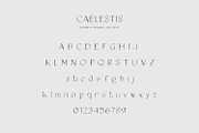 CAELESTIS elegant sans serif font, a Sans Serif Font by Jay Luxe Creative (Thumbnail 4 of 7)