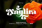 Naylira Modern Beauty Serif Font, a Font by AuthenType (Thumbnail 1 of 14)
