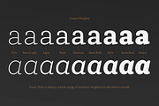 Ulises, a Font by W Type Foundry (Thumbnail 3 of 13)
