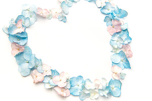 Hydrangea petals forming heart shape on white background, a Background Photo by Olena Rudo