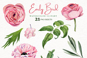 Floral Watercolor Bundle, an Object Graphic by JSolomatina (Thumbnail 8 of 23)