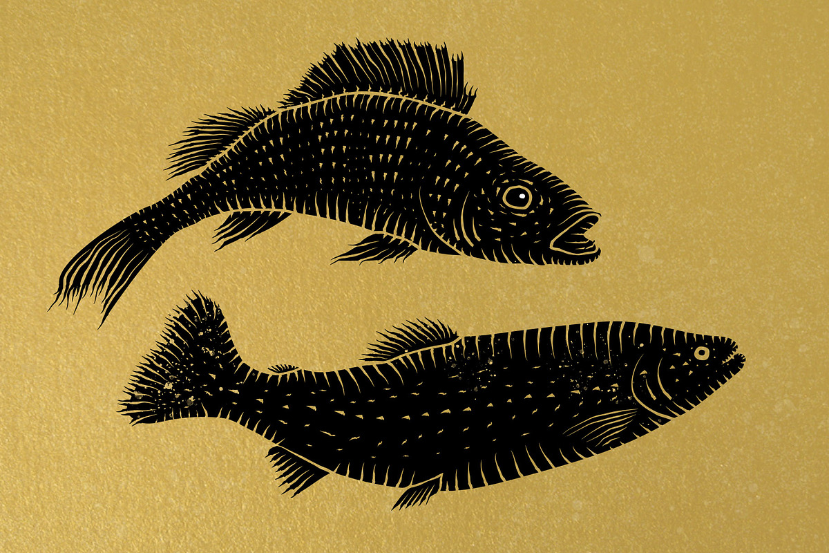 River Fish logotype, an Illustration by Sukhochev (Photo 2 of 3)