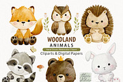 Watercolor Woodland Animals Clipart, an Animal Illustration by TitaLivingArt (Thumbnail 1 of 11)