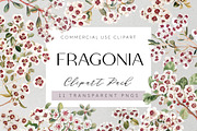 Fragonia Australian Floral Clipart, a Decorative Illustration by Pawcasso's Portraits (Thumbnail 1 of 6)