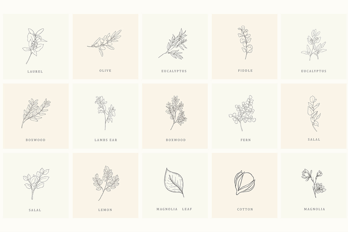 Botanical Hand Drawn Designs, Logos, a Seasonal Illustration by Designwork (Photo 17 of 22)