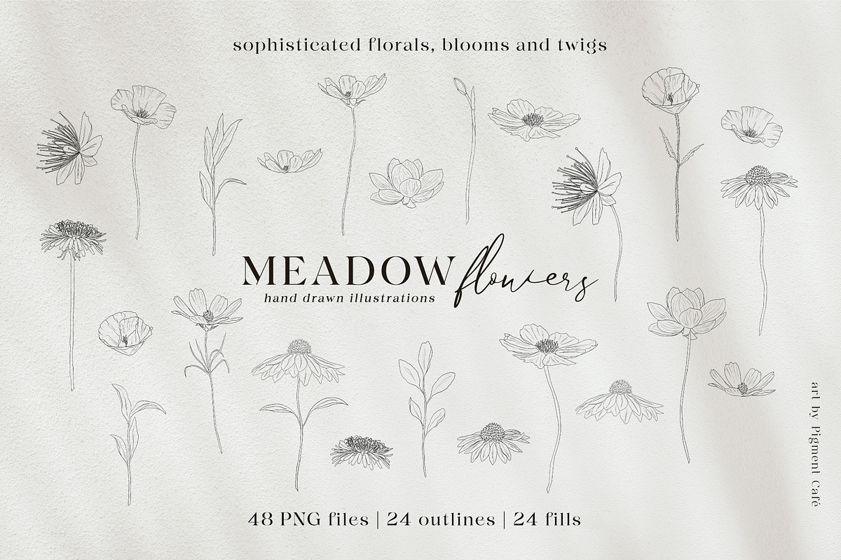Meadow Flowers & Blooms Bundle, an Illustration by Pigment Café (Photo 4 of 9)