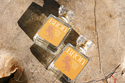 Giqer Western Vintage Serif, a Serif Font by timelesstype.co (Thumbnail 5 of 20)