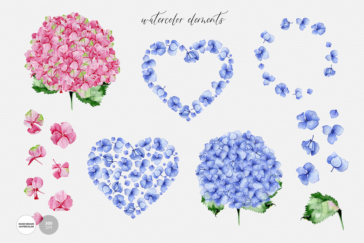 Hydrangea Flowers, a Decorative Illustration by Anna Myslivets Art (Photo 5 of 6)
