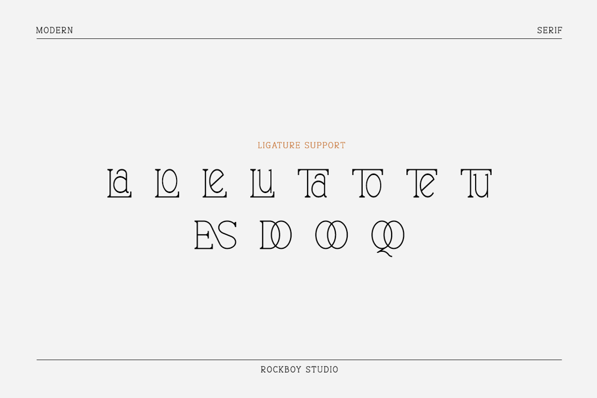Blissful - Modern Stylish, a Serif Font by RockboyStd (Photo 11 of 12)