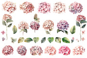 Hydrangea clipart, Watercolor floral, a Decorative Illustration by ElenazlataArt (Thumbnail 2 of 7)