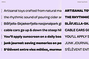 Ciruela | Chunky Round Display Sans, a Sans Serif Font by Antipixel Type Studio (Thumbnail 4 of 19)