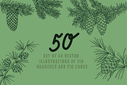 Vector fir branches, an Illustration by risovanya (Thumbnail 1 of 4)