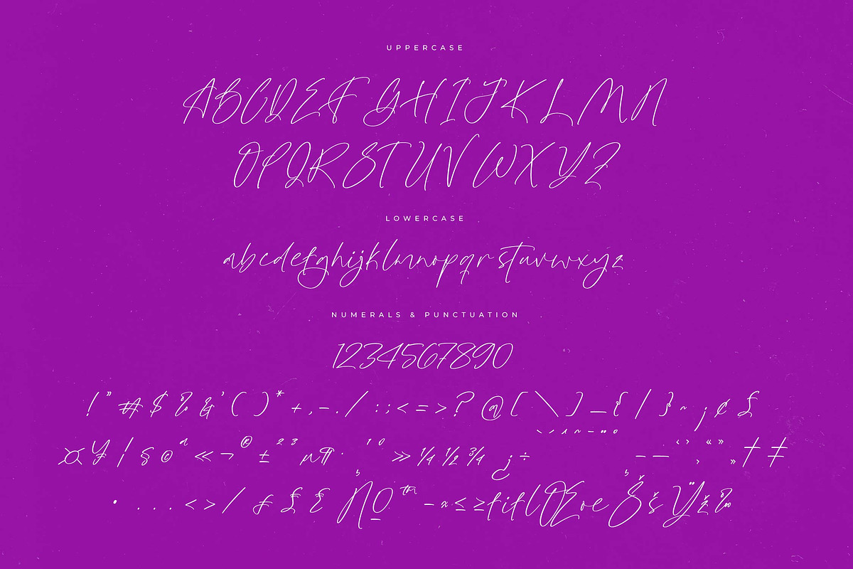 Glistening Silent Modern Stylish, a Script Font by Letterena Studios Script (Photo 13 of 15)