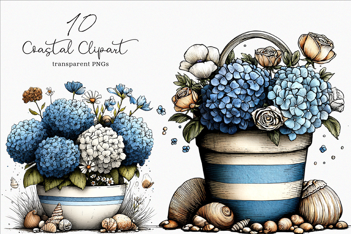 Whimsical Coastal Clipart, an Illustration by SinaCreation (Photo 1 of 7)