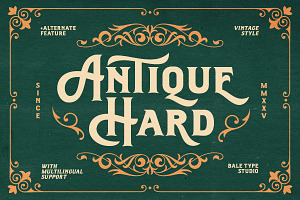 Antique Hard - Bold Vintage Font, a Slab Serif Font by Bale Type