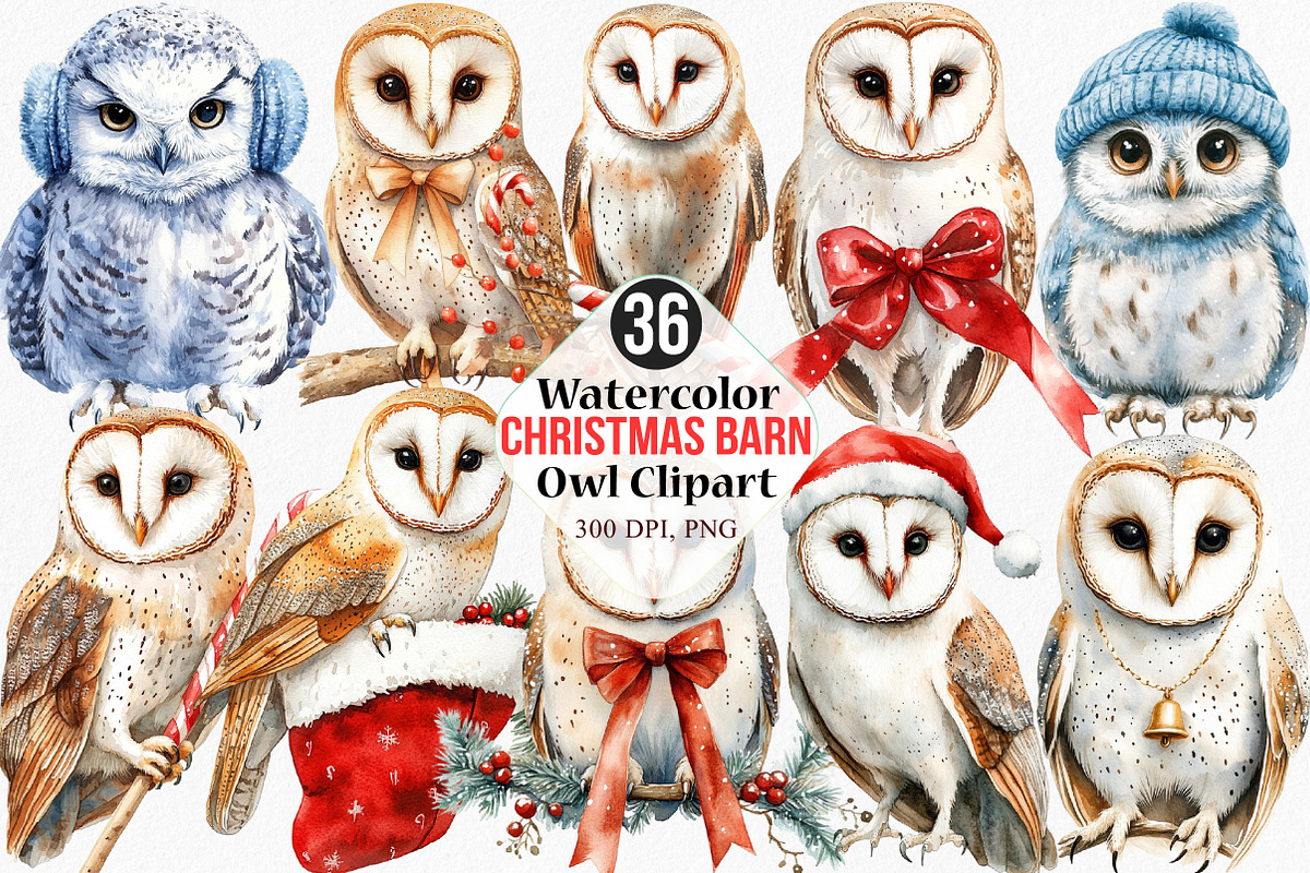 Christmas Barn Owl Clipart, an Illustration by Canvas Craft (Photo 1 of 8)