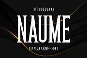 Negusa - Modern Font, a Serif Font by lelevien (Thumbnail 1 of 4)