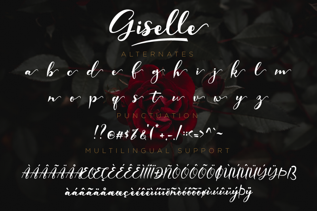 Giselle - Elegant Script Font, a Script Font by Nissa Studio (Photo 12 of 12)
