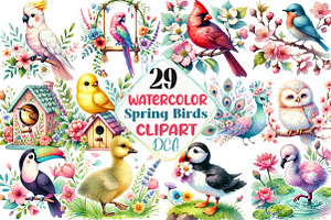 Watercolor Spring Birds Clipart, an Illustration by DreamCafeArt