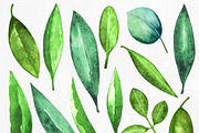 Watercolor Green Leaves, a Healthcare Illustration by Color_Brush (Thumbnail 2 of 8)