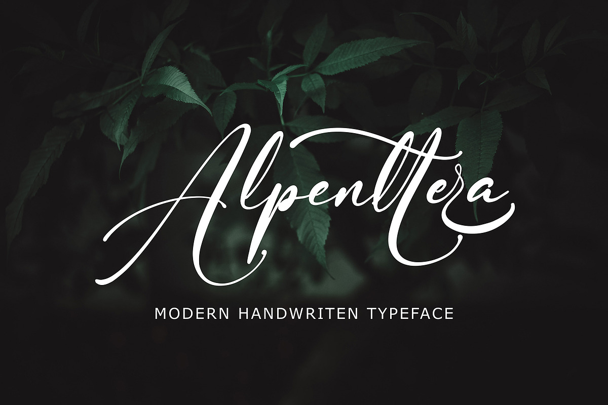 Alpenttera, a Script Font by pineungtype (Photo 1 of 9)