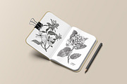 sketchbook mockup, a Books & Magazine Mockup by graphic_keY (Thumbnail 1 of 4)