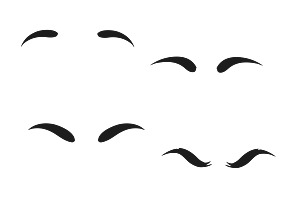 Eyebrows Set 1 Procreate Brush Stamp