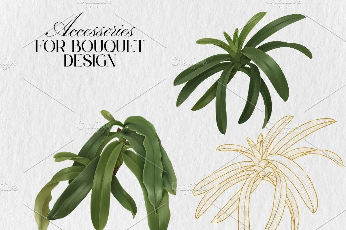 Slipper Orchid Botanical Clipart PNG, a Decorative Illustration by Floraphoria (Photo 8 of 12)