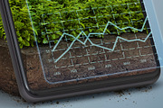 Digital or online farming concept, a Technology Illustration by Nomad (Thumbnail 3 of 4)