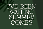 White Wisteria Fonts Family, a Serif Font by Asenbayu (Thumbnail 6 of 13)
