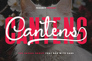 Cantens Casual Script Font Duo, a Script Font by Maulana Creative (Thumbnail 1 of 6)