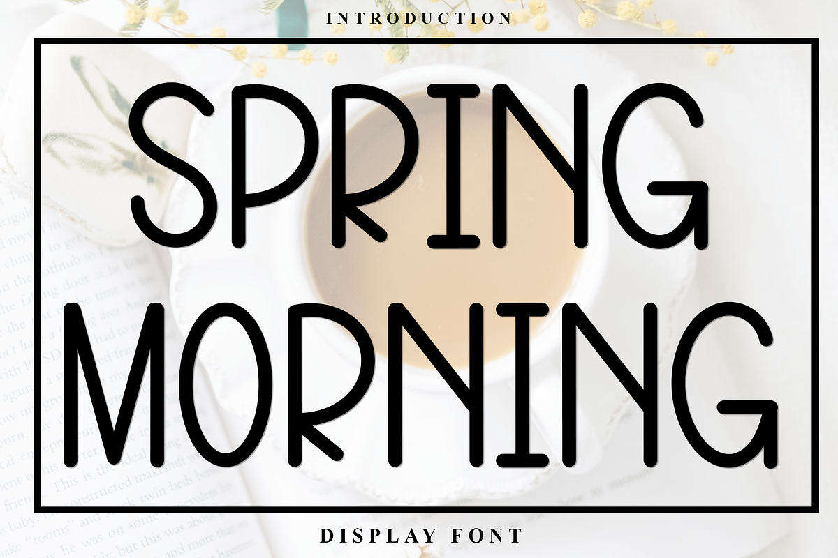 Spring Morning, a Serif Font by FreshTypeINK (Photo 2 of 7)