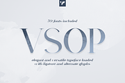 VSOP - elegant serif, 70 fonts, a Serif Font by VP Fonts (Thumbnail 1 of 21)