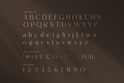 Mengila Elegant Serif, a Serif Font by Perfectype (Thumbnail 7 of 8)