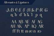 Farielatte, a Serif Font by Rishsketch (Thumbnail 12 of 13)