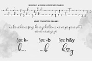 Fansthome | Signature effect, a Script Font by Qaratype (Thumbnail 10 of 22)
