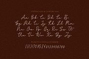 Sentinel Font, a Script Font by Haws.std (Thumbnail 5 of 5)
